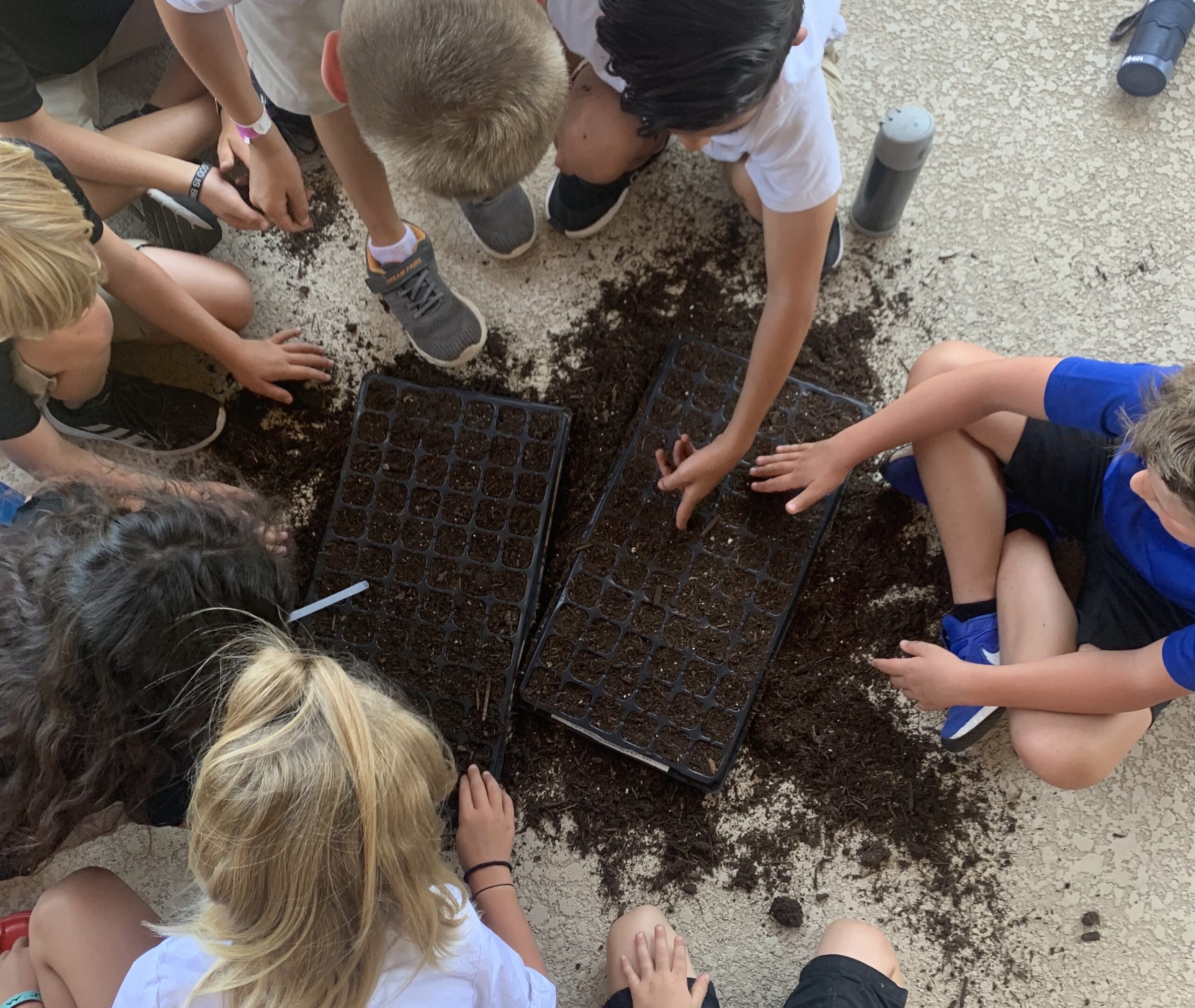 Students planting seeds.
